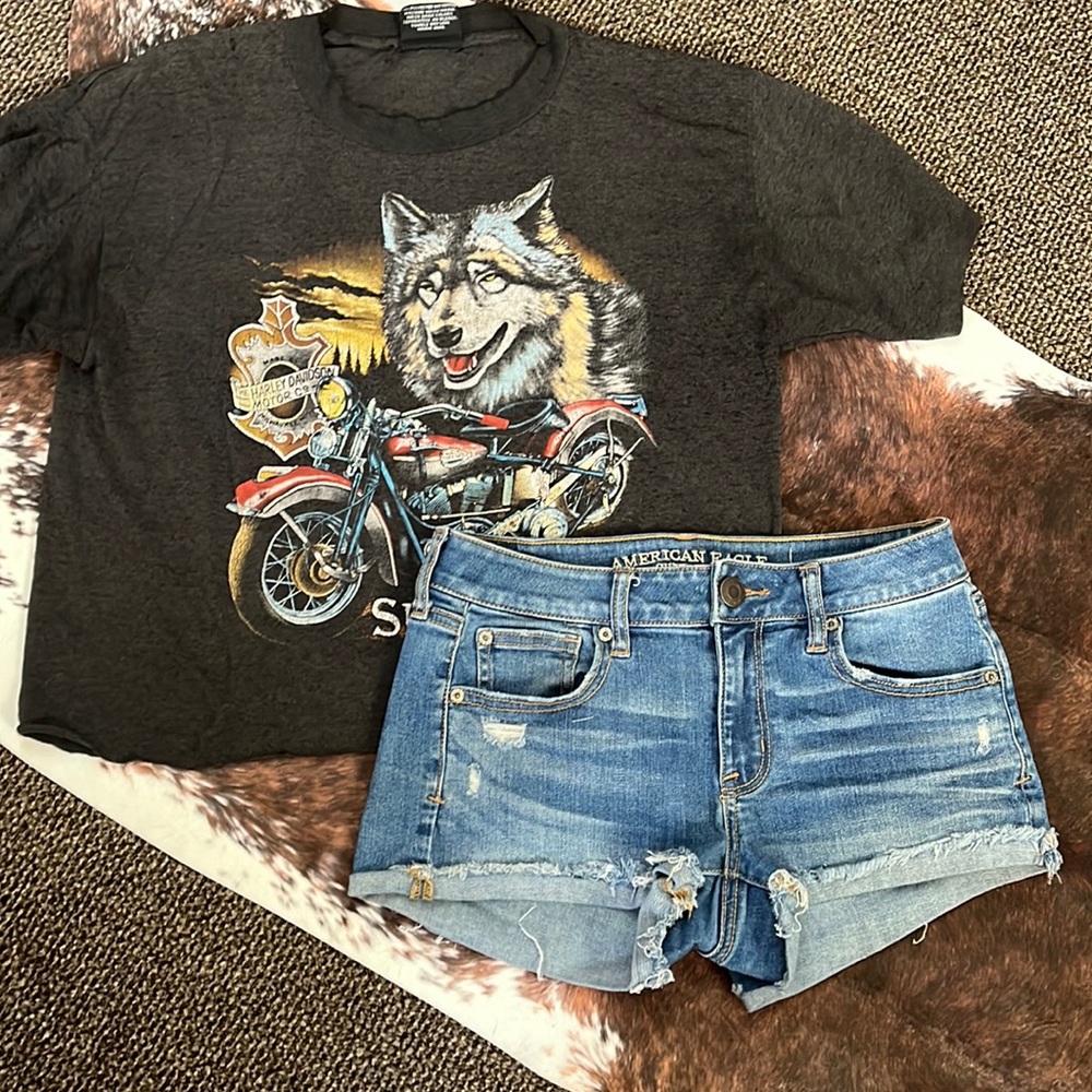 American Eagle Low Rise Denim Shorts